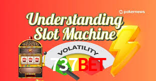 737bet App Interface