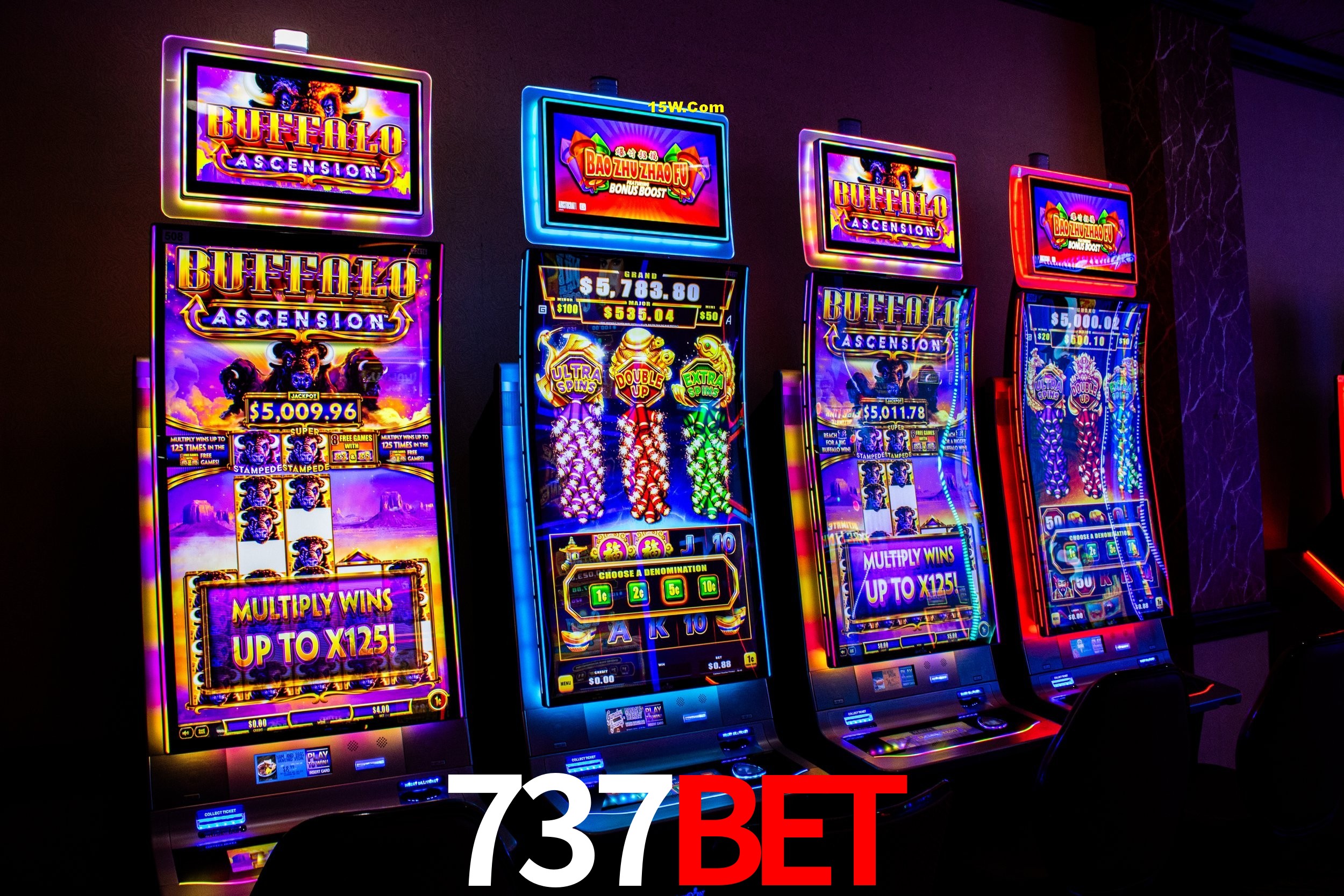 Crash Games Statistics 737bet